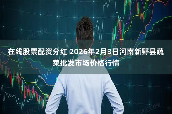 在线股票配资分红 2026年2月3日河南新野县蔬菜批发市场价格行情