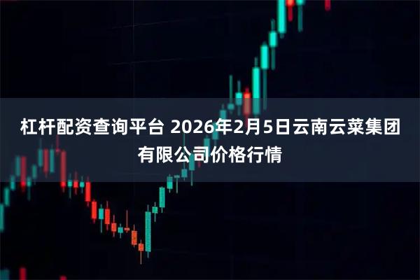 杠杆配资查询平台 2026年2月5日云南云菜集团有限公司价格行情
