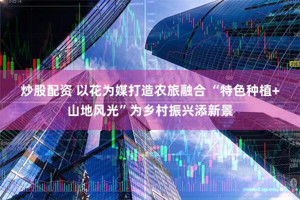 炒股配资 以花为媒打造农旅融合 “特色种植+山地风光”为乡村振兴添新景