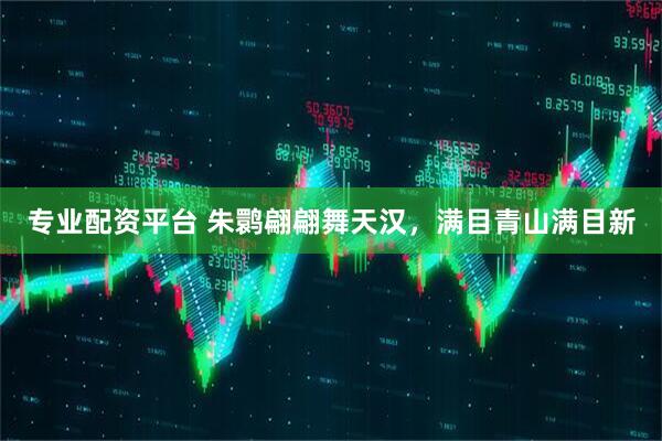 专业配资平台 朱鹮翩翩舞天汉，满目青山满目新